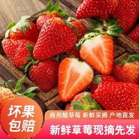 钱小二 云南新鲜 红颜草莓 一盒24粒x4盒