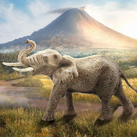 Schleich 思樂 仿真動物模型大象野生動物兒童玩具非洲公象14762