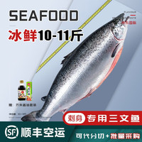 海泽鲜【冰鲜 刺身】三文鱼整条刺身11-14斤/条 分切 即食 整条10-11斤【整条装】