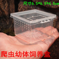 泽驭名宠昆虫幼体饲养盒蜘蛛蝎子幼体饲养盒翻盖透气树栖盒蜘蛛盒迷你盒 小方盒6.5*6.5*4.5cm