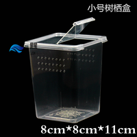 泽驭名宠昆虫幼体饲养盒蜘蛛蝎子幼体饲养盒翻盖透气树栖盒蜘蛛盒迷你盒 小树栖盒8*8*11cm