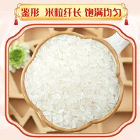 百亿补贴：SHI YUE DAO TIAN 十月稻田 东北大米长粒香米真空装 5kg