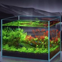 yee 意牌 金晶超白玻璃鱼缸客厅生态鱼缸造景溪流缸桌面小型乌龟金鱼缸 600*300*350(6mm)