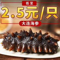 缤鲜 鲜 即食海参 大连海参深海鲜活辽刺参新鲜开袋即食500g海参干货礼盒 即食海参1斤