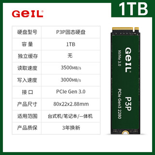 P3P SSD固态硬盘 M.2接口PCIe 3.0（NVMe协议） 1TB
