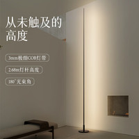 玛兰名灯落地灯客厅艺术背景墙氛围灯ins风创意线条设计师立式灯条落地灯 黑色（3000k暖光-16瓦）