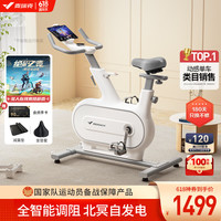 MERACH 麦瑞克 动感单车自发电家用智能调阻运动健身器材室内静音自行车 绝影ONE 进阶训练-9KG飞轮组-气囊坐垫