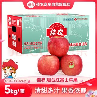 烟台红富士苹果 5kg装 特级果 单果240g 礼盒装 新鲜水果