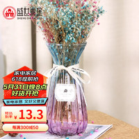 盛世泰堡 玻璃花瓶插花瓶干花滿天星仿真花容器客廳裝飾擺件 藍紫漸變22cm