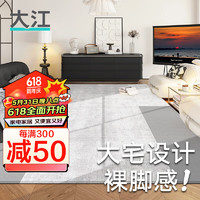DAJIANG 大江 地毯客厅地毯轻奢高级感现代简约卧室床边毯欧式地毯 月灰构筑 230x160cm