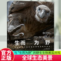 生而为野 中国野生生物摄影年赛摄影作品精选 动物植物摄影集 中国国家地理图书 9787571028183 正版 C 预售
