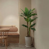 森空间 仿真绿植芭蕉树室内客厅大型仿生植物摆件北欧旅人蕉盆栽