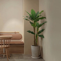 森空間 仿真綠植芭蕉樹室內客廳大型仿生植物擺件北歐旅人蕉盆栽