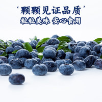 京丰味 蓝莓水果 国产新鲜大蓝莓 时令水果蓝梅 整箱1斤装 中大果 约12-16mm