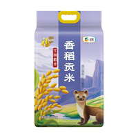 今日必買：福臨門 雪國稻香香稻貢米 5kg/袋（新老包裝交替）