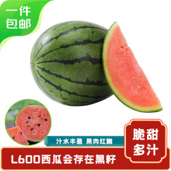 20点开始mrseafood京鲜生北京庞各庄l600小西瓜2粒装单果4斤起