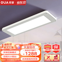 OUJIA 欧家 电动晾衣架隐形阳台吊顶嵌入式自动升降隐藏式超薄智能晒衣架D04 全面屏照明+双杆独立控制