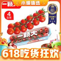 20点开始：一颗大 红樱桃番茄 198g*4盒