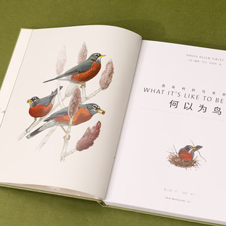 中国国家地理何以为鸟：西布利的鸟类世界 鸟类物种识鸟书