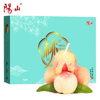 菲农 阳山水蜜桃2.5kg 单果250g+ 8个 无锡水蜜桃水果礼盒源头直发包邮