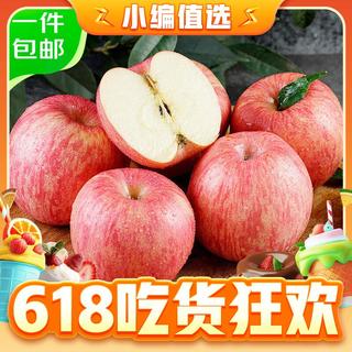 山东烟台红富士苹果 净重9斤 果径75mm+