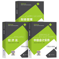 《中级会计实务+财务管理+经济法》