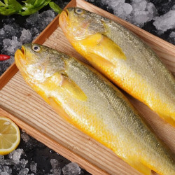 精选大黄花鱼*1条(约一斤)多少钱-什么值得买