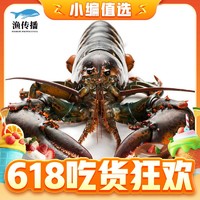 88VIP：渔传播 波士顿大龙虾鲜活波龙 450-500g*2只