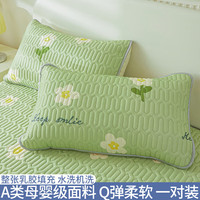 南极人（NanJiren）乳胶枕头套一对装夏季凉感冰丝枕套48cmx74cm单个大号枕芯内胆套 乳胶枕套-绿茵【一对装】