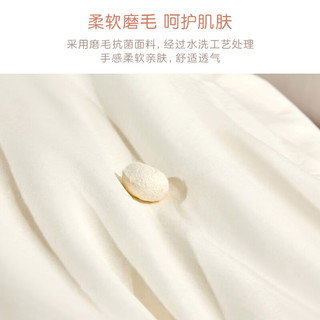 罗莱儿童床上A类100%蚕丝被子被芯 泰迪岛IP联名款 【抗菌面料】冬被 150*215cm