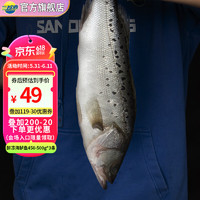 三都港 鲜冻海鲈鱼450-500g*3条