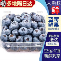 佳宝臣 VEYBOUSON 国产新鲜蓝莓 12盒 16mm+ 125克/盒