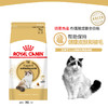 88VIP：ROYAL CANIN 皇家 RA32布偶猫成猫猫粮