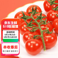 富美鹤城 串收樱桃番茄新鲜小西红柿 198g*4盒源头直发