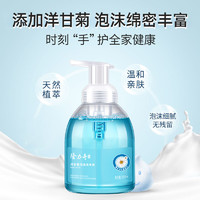 88VIP：Longrich 隆力奇 洋甘菊泡沫洗手液 500ml