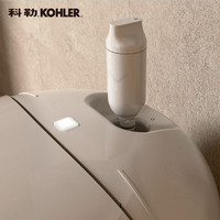 KOHLER 科勒 配件智能马桶过滤器家用坐便器马桶进水过滤器滤芯1250837-SP