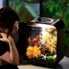 慧班水族箱轻奢现代家用桌面办公室客厅小型生态金鱼缸超白亚克力造景 套餐1+造景+LED灯盖