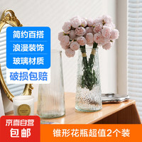 玻璃花瓶透明植物插水培容器大花瓶装饰客厅摆件 锥形2个装（图案各一）