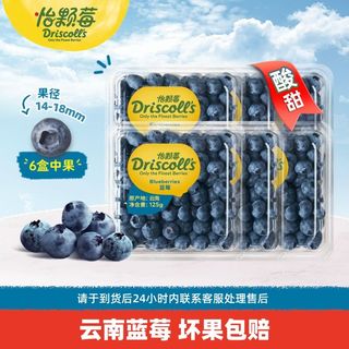 怡颗莓云南蓝莓A级中果大果125g*4/6盒水果当季新鲜采摘酸甜