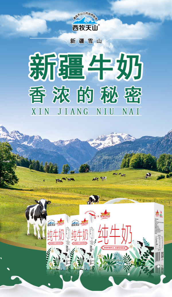 西牧天山 新疆纯牛奶200ml*10盒整箱全脂牛奶营养早餐奶