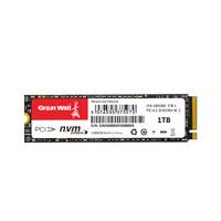 Great Wall 长城 GW3300 NVMe M.2固态硬盘 1TB（PCIe 3.0x4）