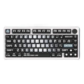 ES75T 有线铝坨坨机械键盘 75键 黑桃 佳达隆双轨磁白轴 RGB