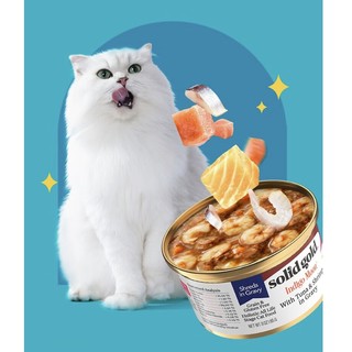 海洋系列 猫咪主食罐 85g*36罐