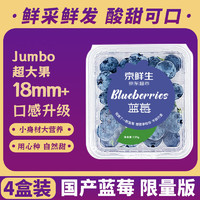 Mr.Seafood 京鲜生 国产蓝莓 4盒装 果径18mm+ 新鲜水果 源头直发包邮
