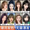 百亿补贴：Meng Qian 蒙倩 2023流行色染发剂植物纯自己在家染头发膏天然品牌黑茶色学生
