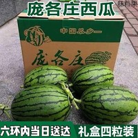 北京庞各庄袖珍小西瓜 迷你新鲜水果2个共重5-6斤 4个共重11-12斤
