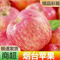 百亿补贴：猗顿农品 正宗山东烟台红富士苹果新鲜水果净重4.6斤单果80mm以上整箱批发