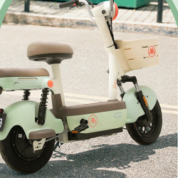 百人团aima爱玛q豆新国标电动自行车tdt1354z