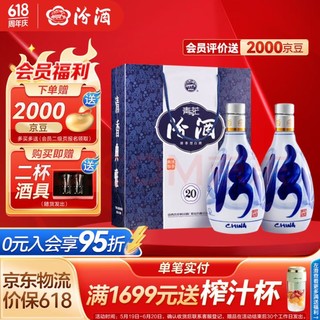 汾酒 青花20 清香型白酒 53度 500mL 2瓶 双瓶装