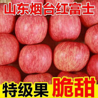 山东烟台富士苹果水果新鲜应当季栖霞整箱新鲜水果 75mm-80mm  9斤（净重8.5）